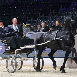 Gosse 526